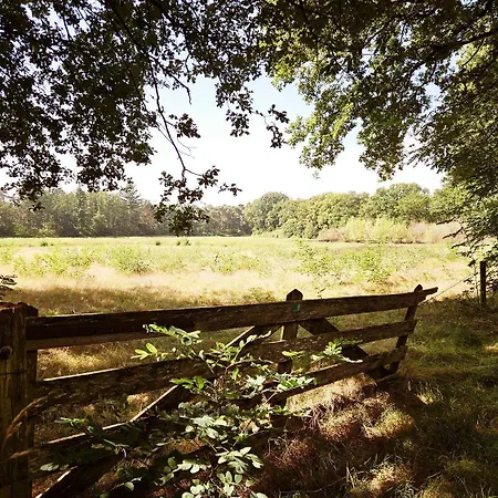 Boshuisje Zunne Holiday home Zelhem