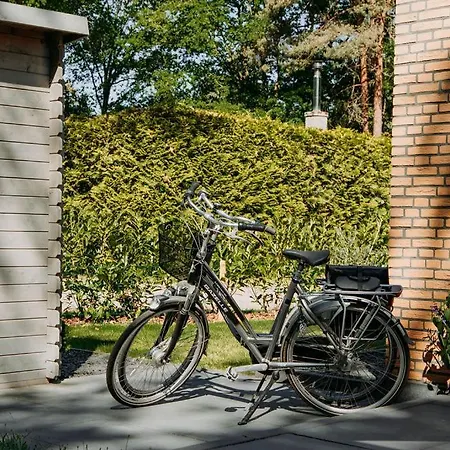 Vakantiehuis Boshuisje Zunne