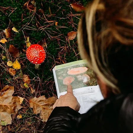 Boshuisje Zunne * Зелхем