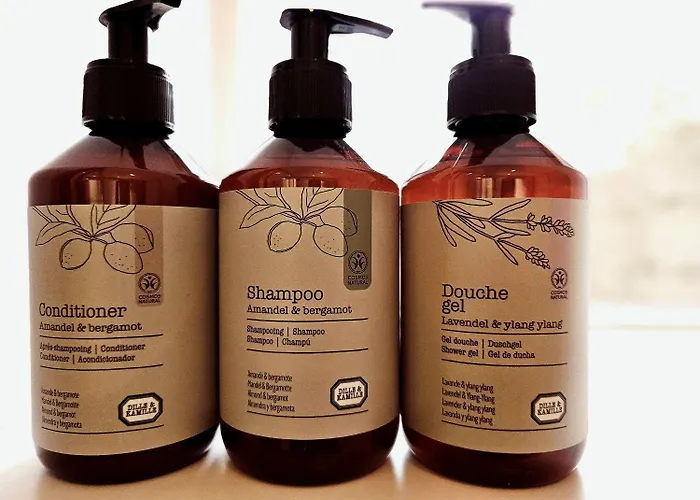 度假居 Boshuisje Zunne 泽尔赫姆