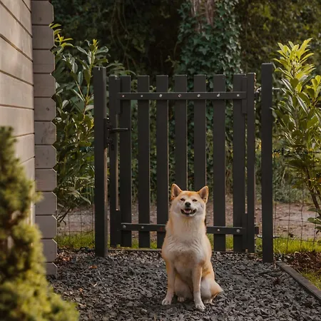 بيت للعطل Boshuisje Zunne *