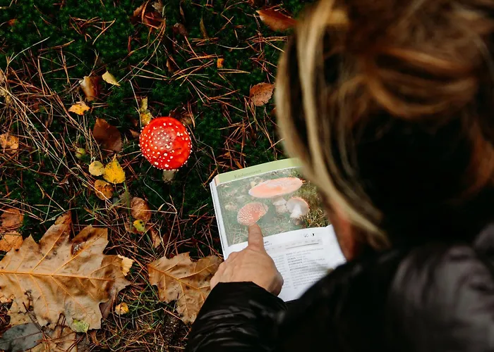 Boshuisje Zunne * Zelhem