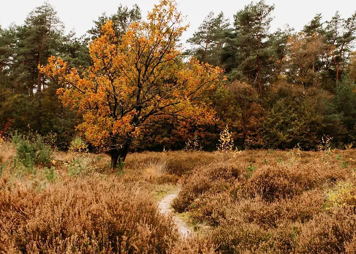 Σπίτι διακοπών Boshuisje Zunne Zelhem