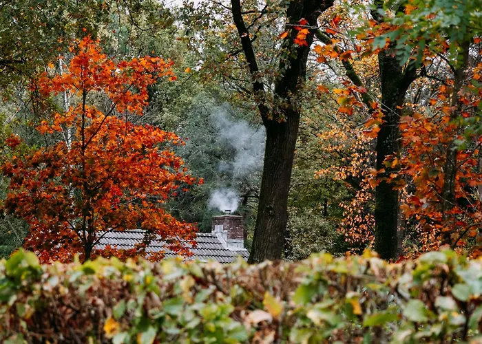 Σπίτι διακοπών Boshuisje Zunne Zelhem